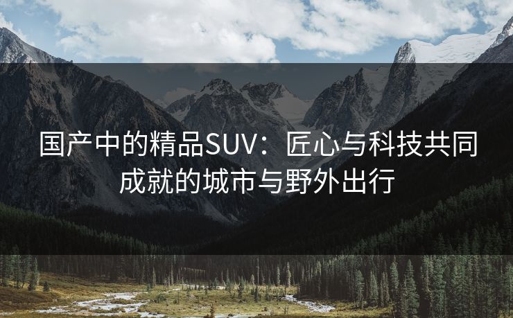国产中的精品SUV：匠心与科技共同成就的城市与野外出行
