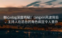 糖心vlog深度揭秘：tangxin风波背后，主持人在后台的角色疯狂令人意外