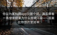 你以为黑料网app只是个词，其实牵着一条搜索结果为什么会被污染——答案比你想的更简单