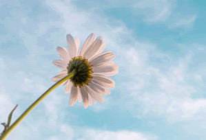 我把搜索词换了换：黑料每日与钓鱼链接的关系：证据链复盘把逻辑讲清楚（给自己留退路）